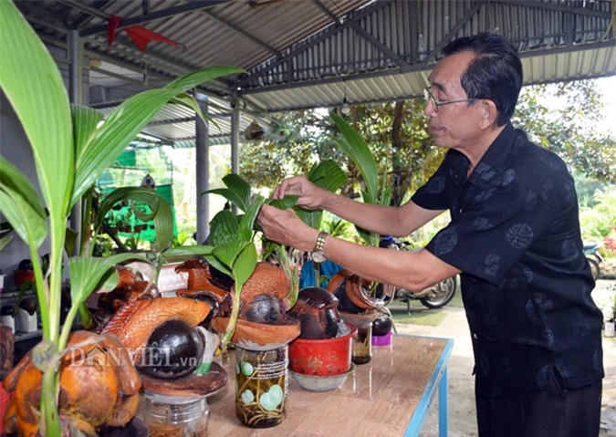 lao nong ca mau me dua bonsai 12 con giap khien ai cung tram tro hinh anh 12