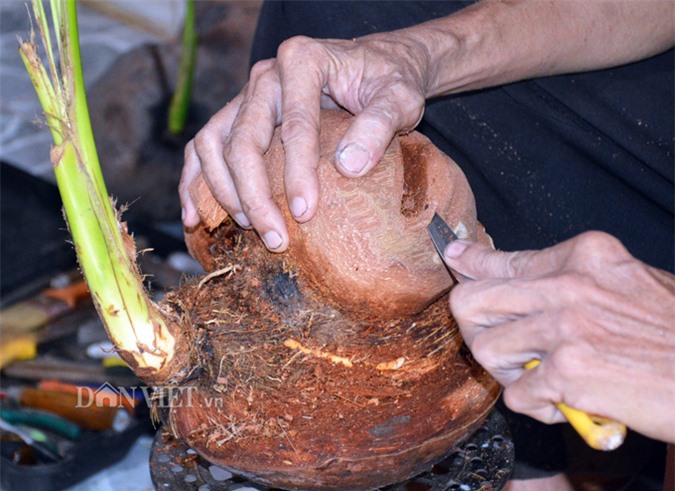 lao nong ca mau me dua bonsai 12 con giap khien ai cung tram tro hinh anh 3