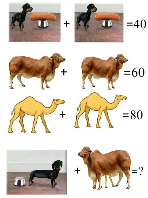 Bạn có giải được bài toán này không?