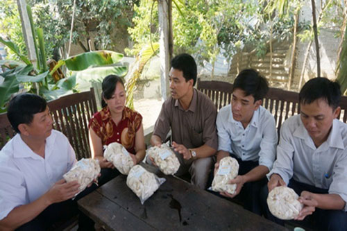 Ninh Bình: Hiệu quả trồng nấm sạch ở HTX Gia Tường