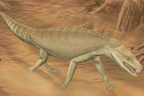 Cá sấu cổ đại ăn chay?