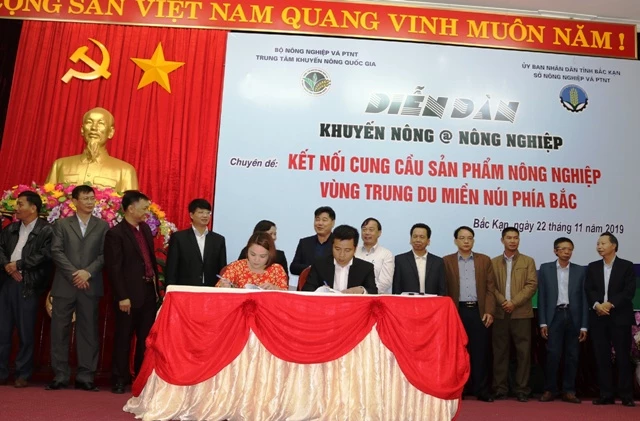 Đại diện Big C (bên phải) ký kết Hợp đồng thương mại với Hợp tác xã của tỉnh Bắc Kạn.