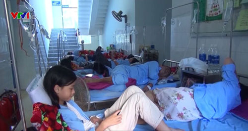 Bùng phát sốt xuất huyết ở Quảng Bình