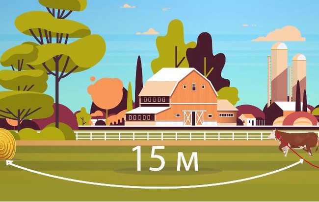 9 câu đố hơi hack não một chút để check xem bạn thông minh hay không được thông minh cho lắm