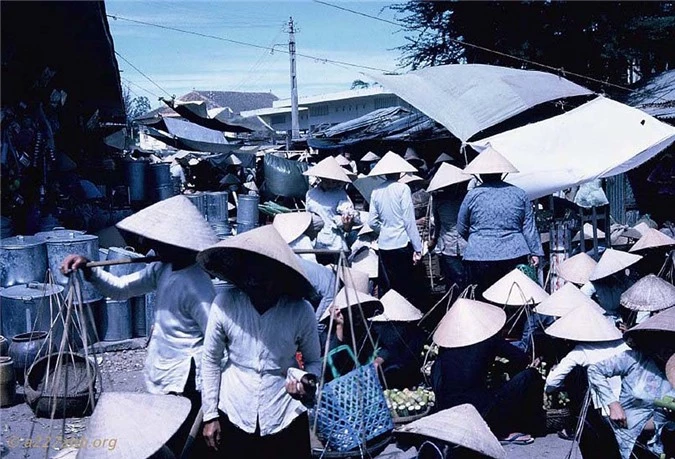 loat anh cuc sinh dong ve cho phan thiet nam 1967 hinh anh 2