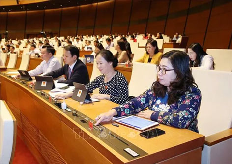 Người nước ngoài được miễn thị thực vào khu kinh tế ven biển