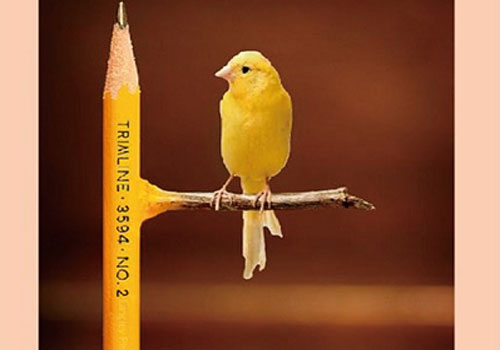 Trắc nghiệm: Tìm ra sự khác nhau giữa con người bên trong và bên ngoài của bạn