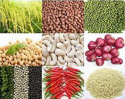 Nhiều mặt hàng nhập khẩu từ Campuchia được hưởng thuế suất ưu đãi 0%