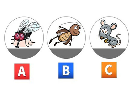 Trắc nghiệm: Đo lường mức độ tổn thương trong trái tim bạn