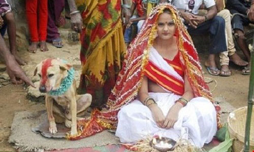 Lạ kỳ những vụ người kết hôn với… động vật