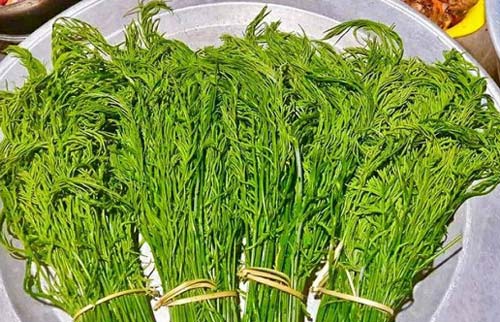 Kỳ lạ, loài rau dại hôi xì ở Tuyên Quang ăn 1 lần thấy sợ, ăn lần 2 đâm nghiện
