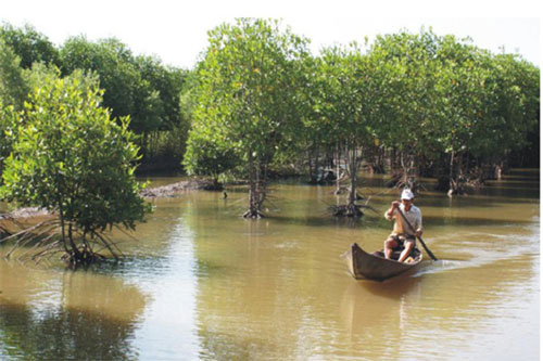 Nuôi tôm sinh thái phù hợp với mô hình HTX