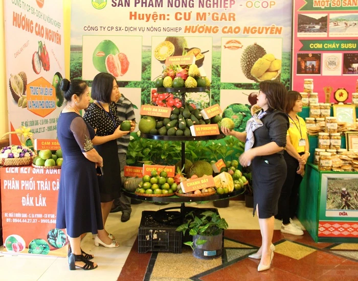 Hội chợ Nông nghiệp và sản phẩm OCOP khu vực Tây Nguyên nhằm tôn vinh các thành tựu nông nghiệp của các địa phương (Ảnh: TL)