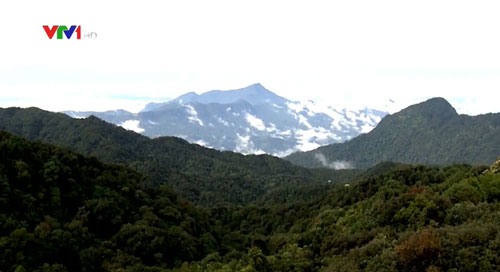 Xử nghiêm vụ tung tin thất thiệt về giao đất trên núi Hải Vân