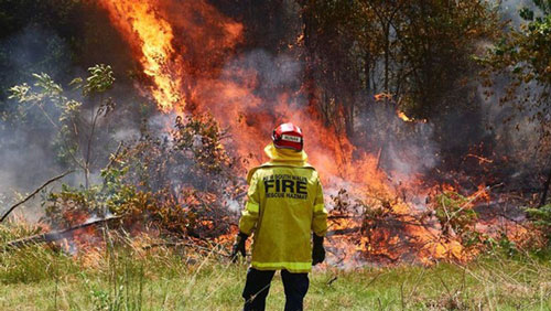 Tình nguyện viên chữa cháy cố tình gây cháy