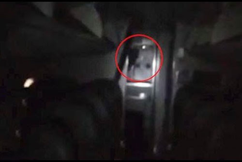 CLIP: Hãi hùng phát hiện ra ‘quỷ lông đen’ trên máy bay