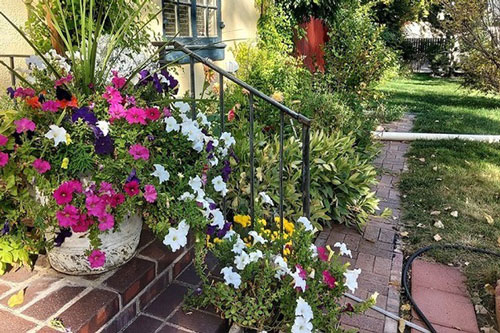 Nỗi sợ của người vợ mang bầu trước thói quen quái đản của chồng