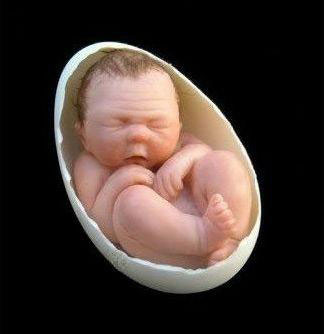 Người phụ nữ …. đẻ trứng