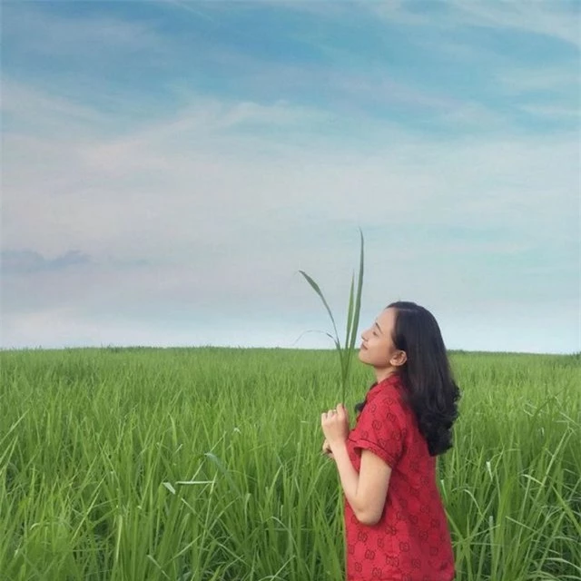 Thiếu nữ xứ Nghệ bất ngờ được dân mạng quan tâm vì nhan sắc khả ái - 7