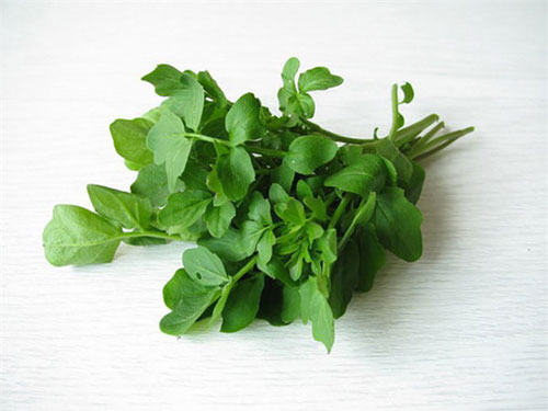 10 loại rau có ít calo nhưng giá trị dinh dưỡng rất cao