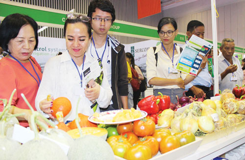 Bài toán sở hữu trí tuệ với HTX nông nghiệp