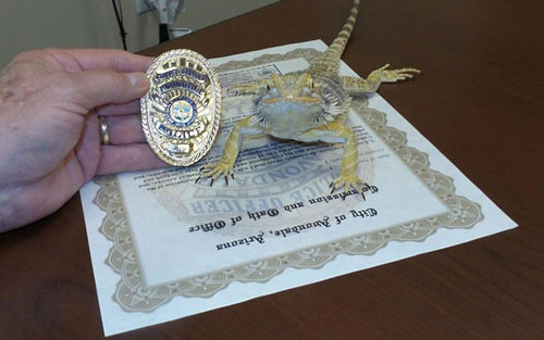 Ảnh vui về những loài động vật kỳ lạ làm cảnh sát