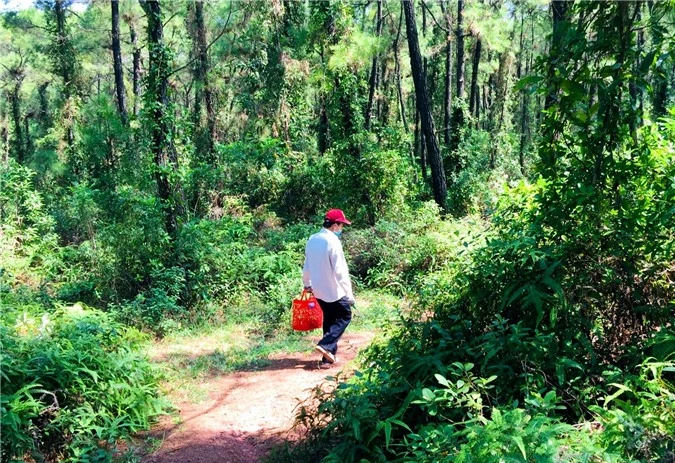 hue: loai nam la moc ra tu cay cho nhua vang khong phai ai cung biet hinh anh 2