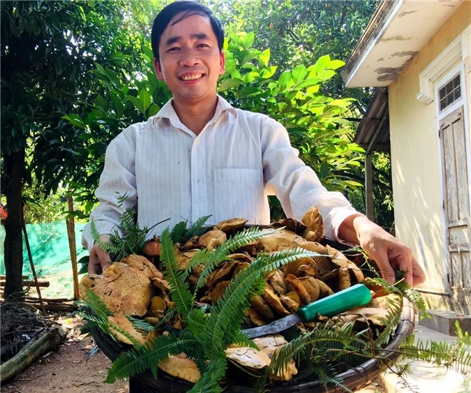 hue: loai nam la moc ra tu cay cho nhua vang khong phai ai cung biet hinh anh 7