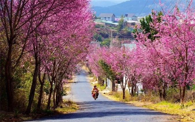 tet duong lich 2018 nen du lich o dau? hinh 3