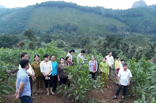 Trồng, bảo vệ rừng giúp gia tăng lợi ích đối với người dân Trường Sơn