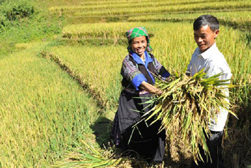 Yên Bái: Yên Bình đẩy mạnh nguồn xã hội hóa để xây dựng nông thôn mới