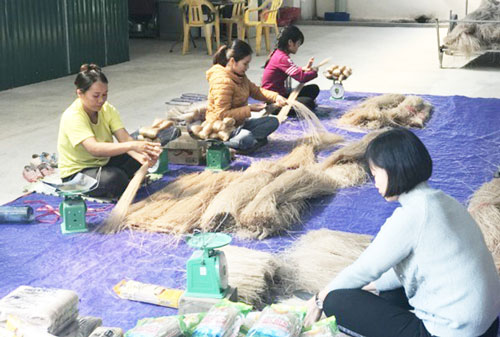 Cao Bằng: Sản xuất sạch, gặt thành công ở HTX Tân Việt Á