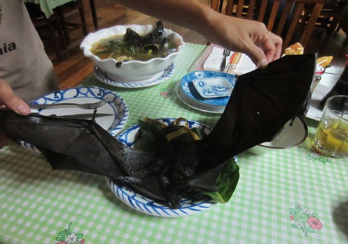 "Khóc thét" với món đặc sản súp dơi nguyên con ở Trung Quốc