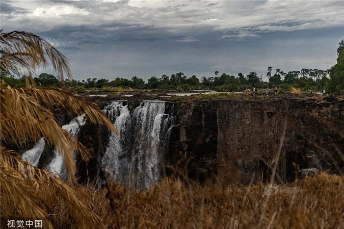 Rung minh canh dong vat hoang da chet tham vi han han o Zimbabwe-Hinh-4