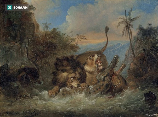 Trận chiến của những vị vua: Sư tử tái mặt khi bóng đen lao đến dìm nó xuống nước - Ảnh 1.
