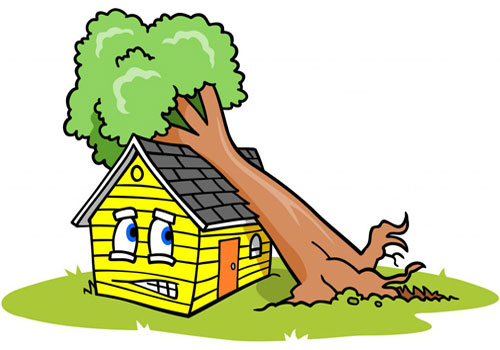 Câu đố mẹo làm nhiều người 'rối não'