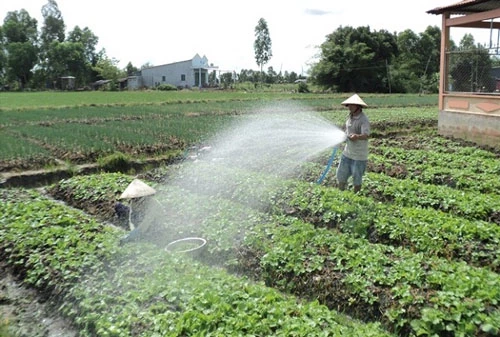 Các mô hình sản xuất tiên tiến góp phần nâng cao thu nhập cho người dân