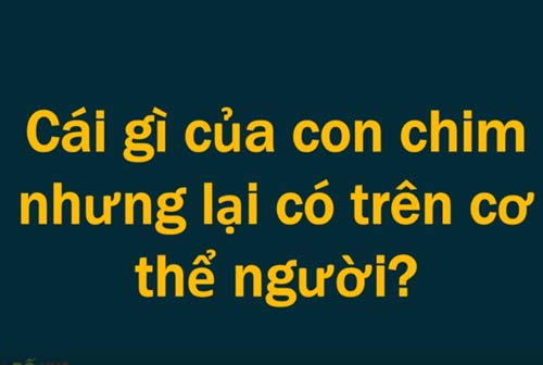 CLIP: Những câu đố mẹo khiến giáo sư cũng phải "bó tay"