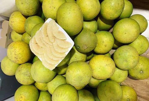 Chơi trội: Đại gia Hà thành 'ôm trọn' vườn bưởi cổ 2.000 quả găm Tết