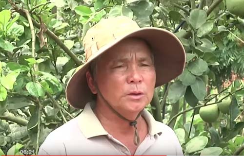 Bà Rịa - Vũng Tàu: Lão nông làm giàu từ trang trại hỗn hợp