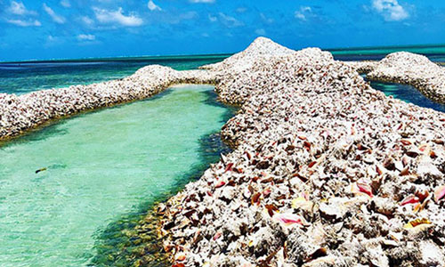 Hòn đảo “dị” không ai dám đi chân trần và lý do