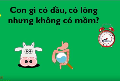 CLIP: Những câu đố mẹo "hack não"