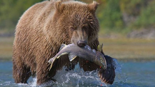 Sở thú cho khách đặt tên người yêu cũ cho gián, rắn độc