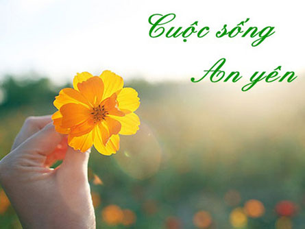 Phật dạy 3 triết lí sâu sắc giúp cuộc sống an yên