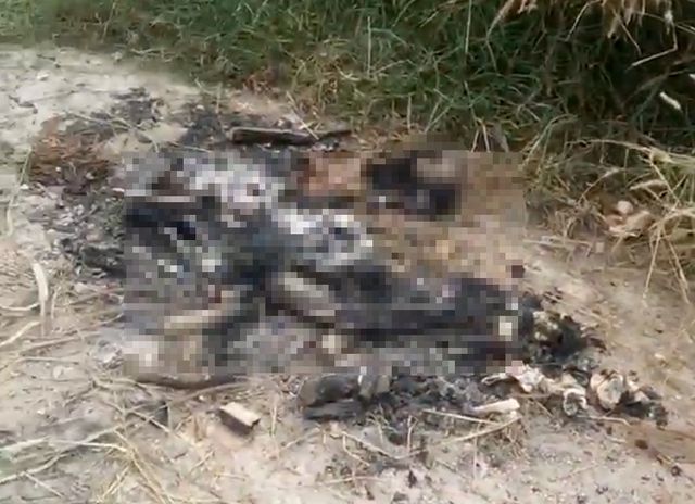 Phát hiện xương người nghi bị đốt trong nghĩa địa ở Củ Chi