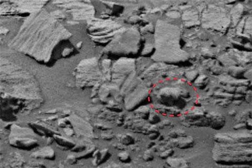 Phát hiện gấu con đi trên sao Hỏa