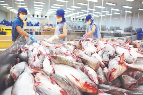 Nhiều bất lợi làm xuất khẩu thủy sản sụt giảm