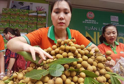 Sơn La: Tích cực bảo vệ môi trường trong sản xuất nông nghiệp