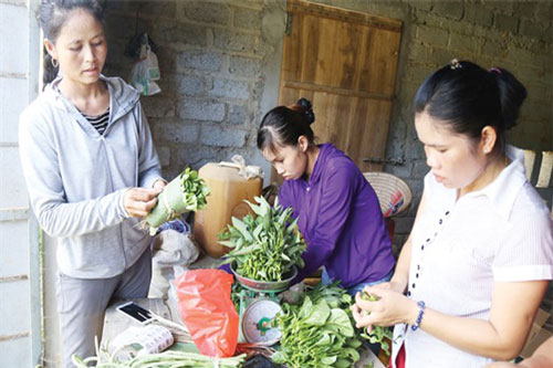 Nâng cao vai trò của lao động nữ trong khu vực HTX
