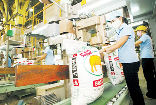 Ngành thức ăn chăn nuôi tìm hướng thoát khủng hoảng